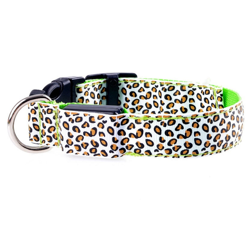 LED Dog Safety Collar – Rechargeable & Waterproof