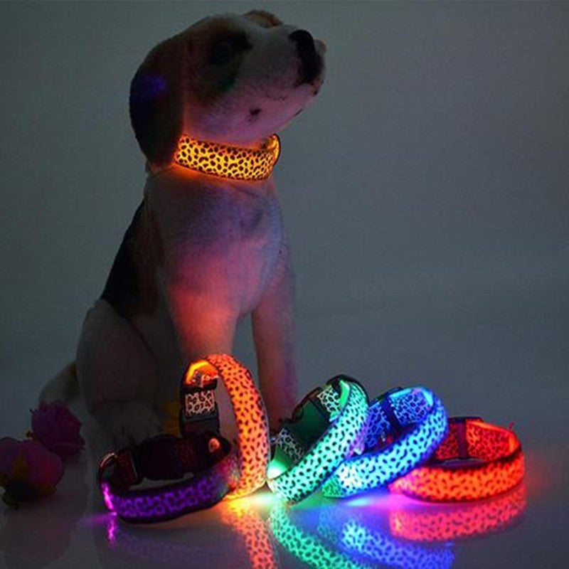 LED Dog Safety Collar – Rechargeable & Waterproof