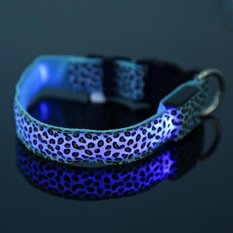 LED Dog Safety Collar – Rechargeable & Waterproof