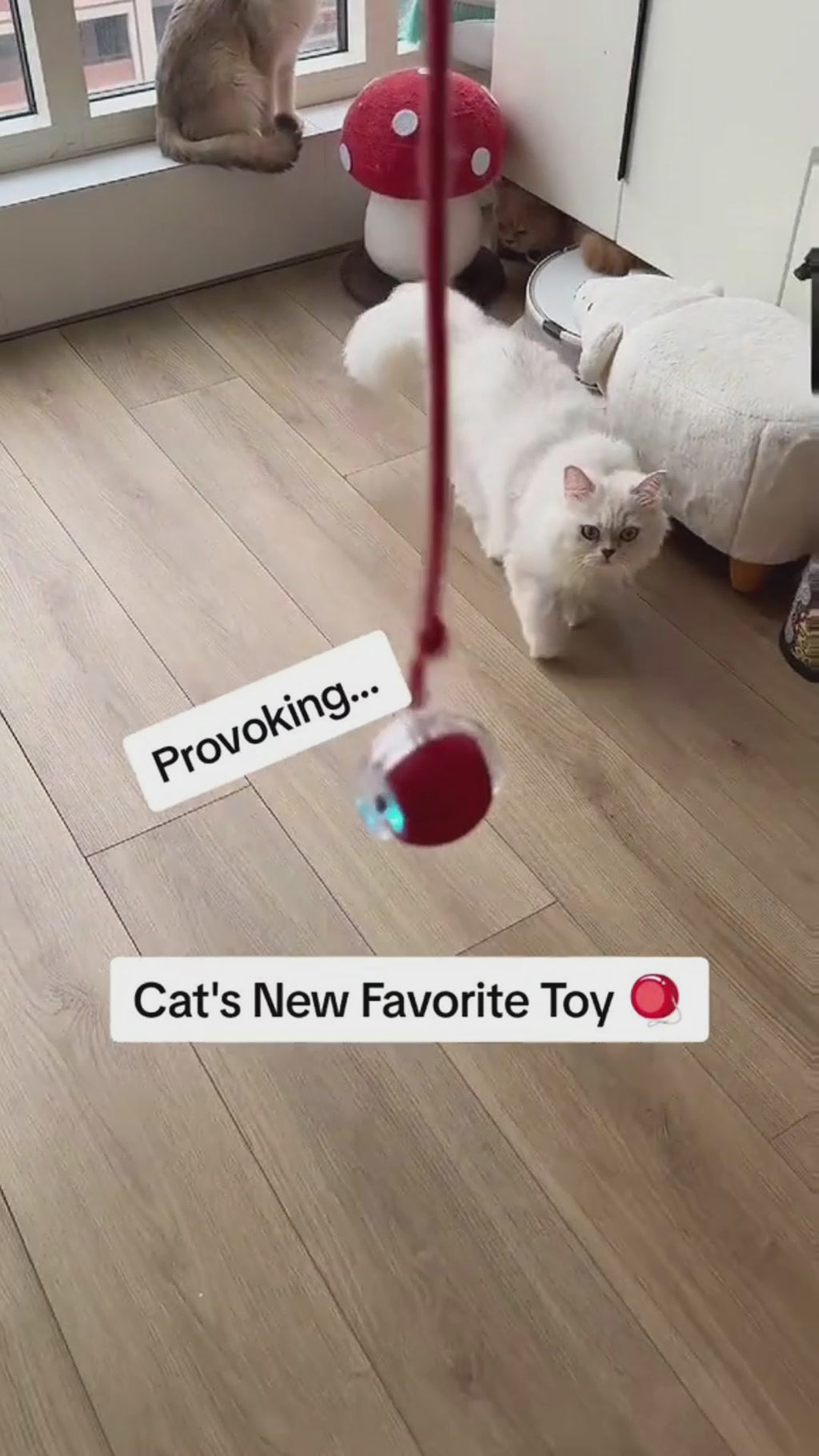 Smart Interactive Cat Toy Ball – Self-Rolling & Fun Play