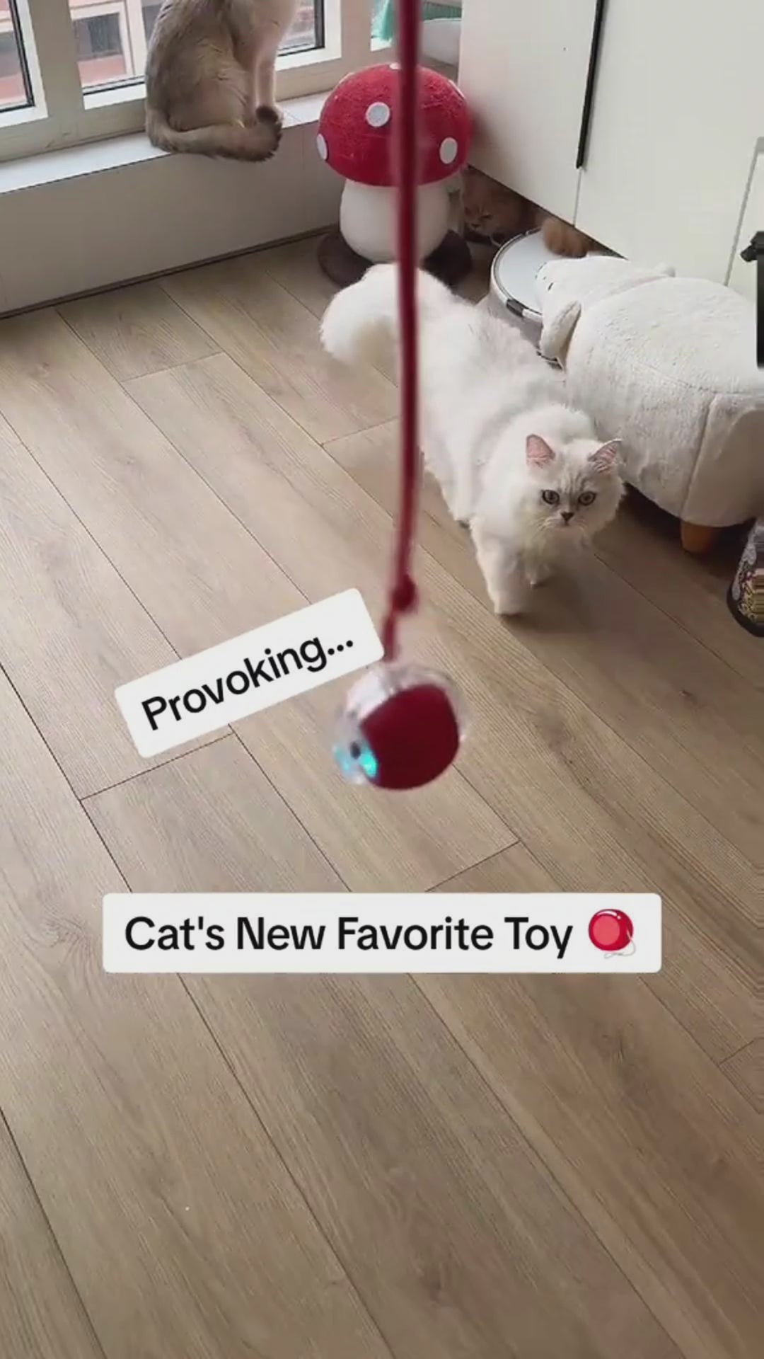 Smart Interactive Cat Toy Ball – Self-Rolling & Fun Play
